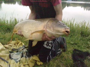 karp135 kg